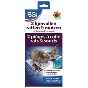 1216 2 Lijmvallen tegen muizen en ratten