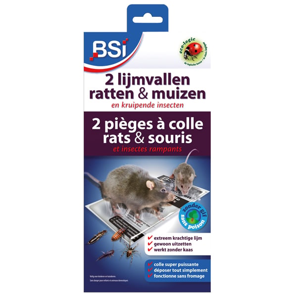 Lijmvallen Tegen Muizen En Ratten