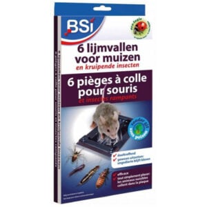 6 Lijmvallen Voor Muizen