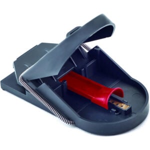 Supercat Muizenval Pro
