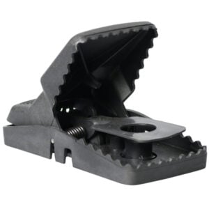 2 T Rex Rattenval