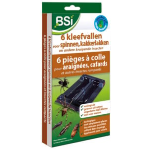 6 Kleefvallen Tegen Spinnen En Insecten