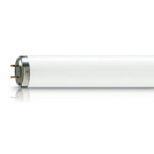 Blauwe UV Lamp