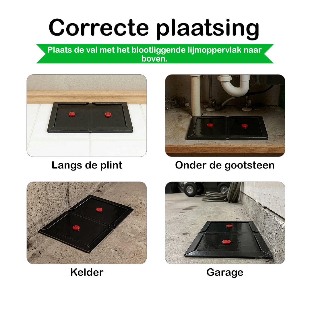 Ronada ratten en muizen lijmplank zwart (10 stuks)