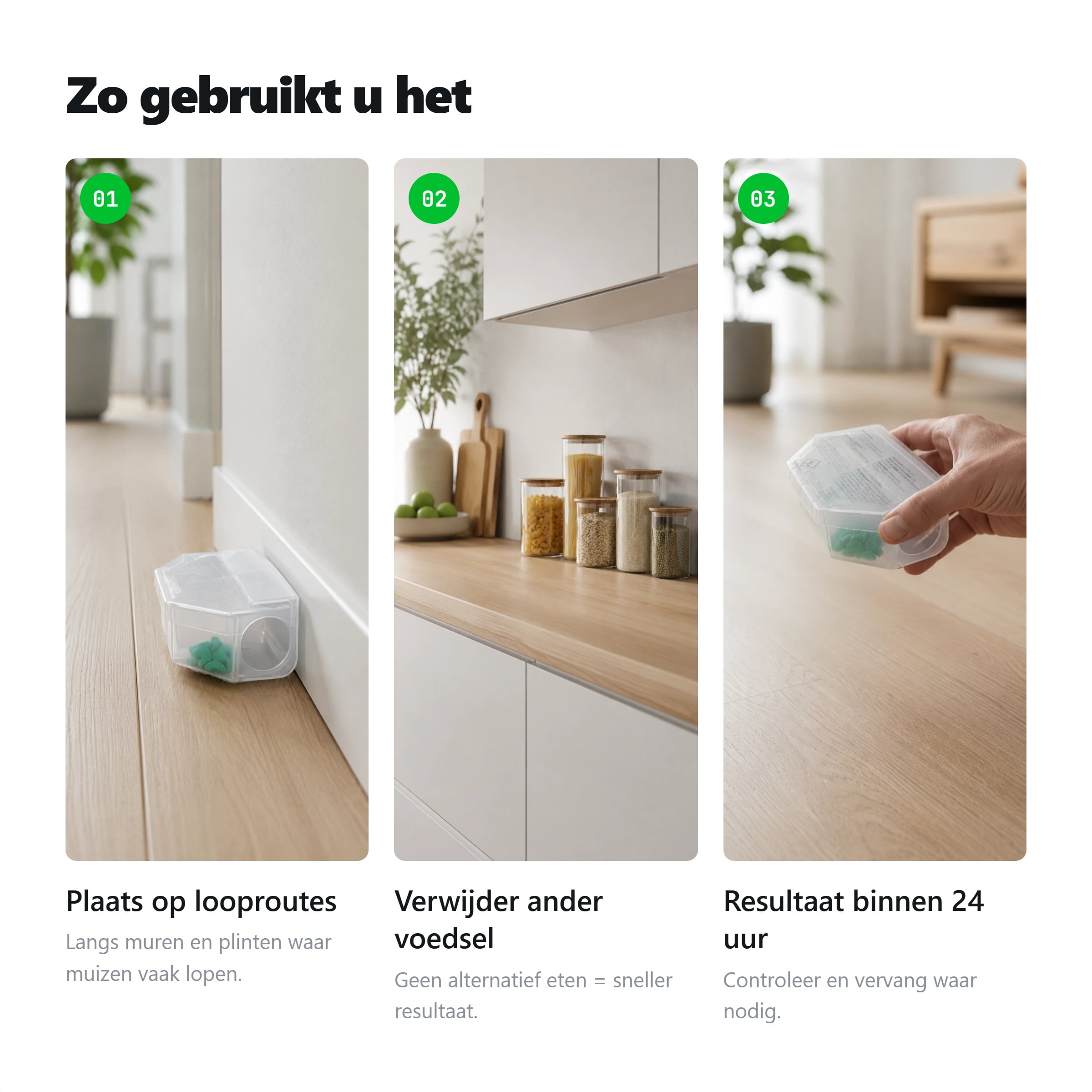 Protect Home muizengif 2 stuks
