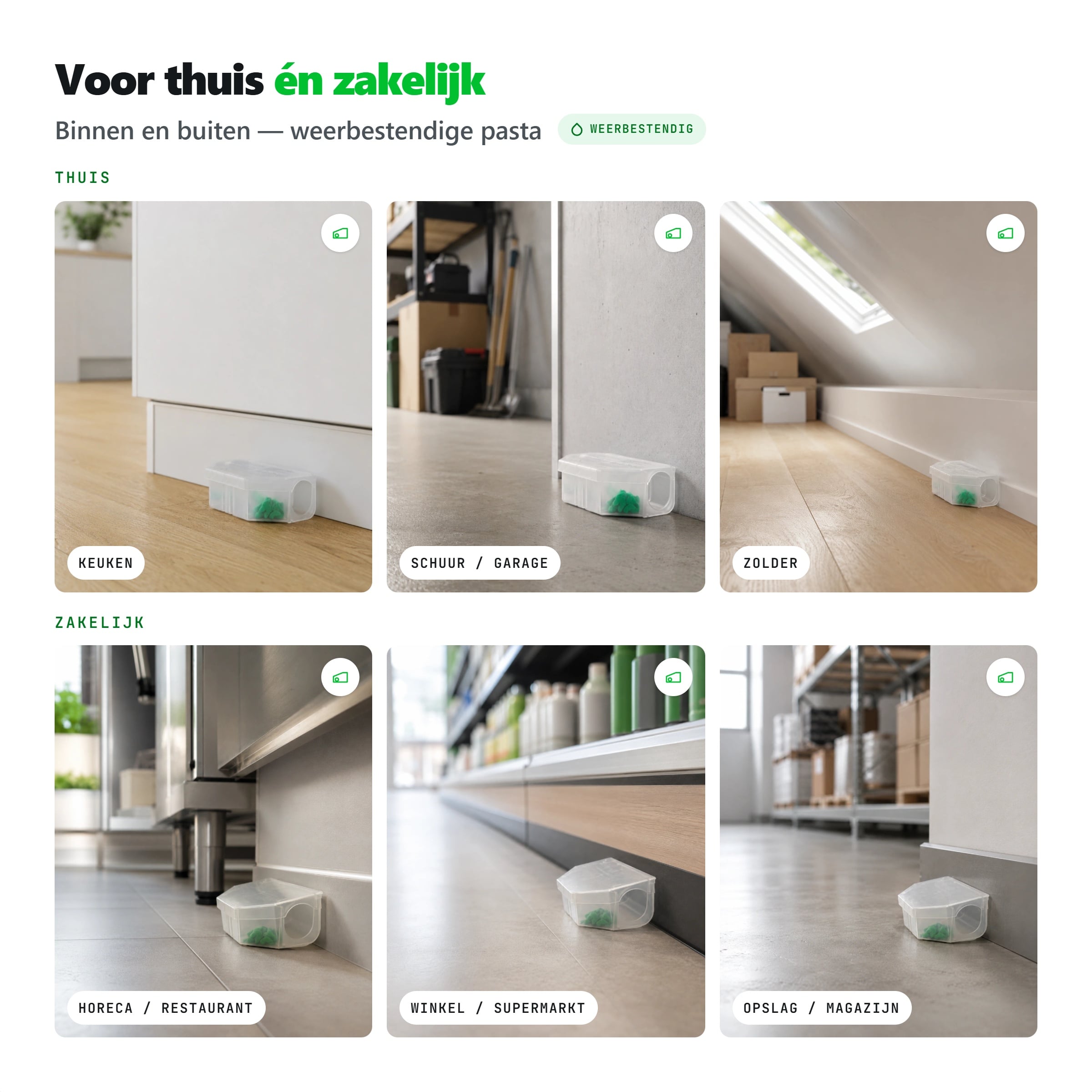 Protect Home muizengif 2 stuks