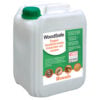 Woodsafe tegen houtborende insecten en zwam 5 liter