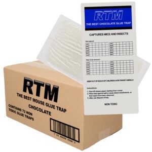 Muizen lijmplanken Trapper RTM chocolade (72 stuks)