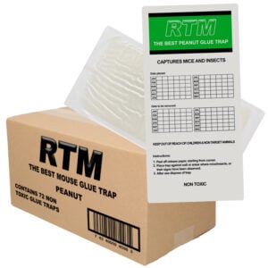 Muizen lijmplanken Trapper RTM pinda (72 stuks)