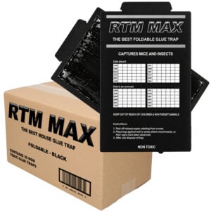 Muizen lijmplanken Trapper RTM Max zwart (30 stuks)