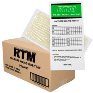 Muizen lijmplanken Trapper RTM pinda (72 stuks)