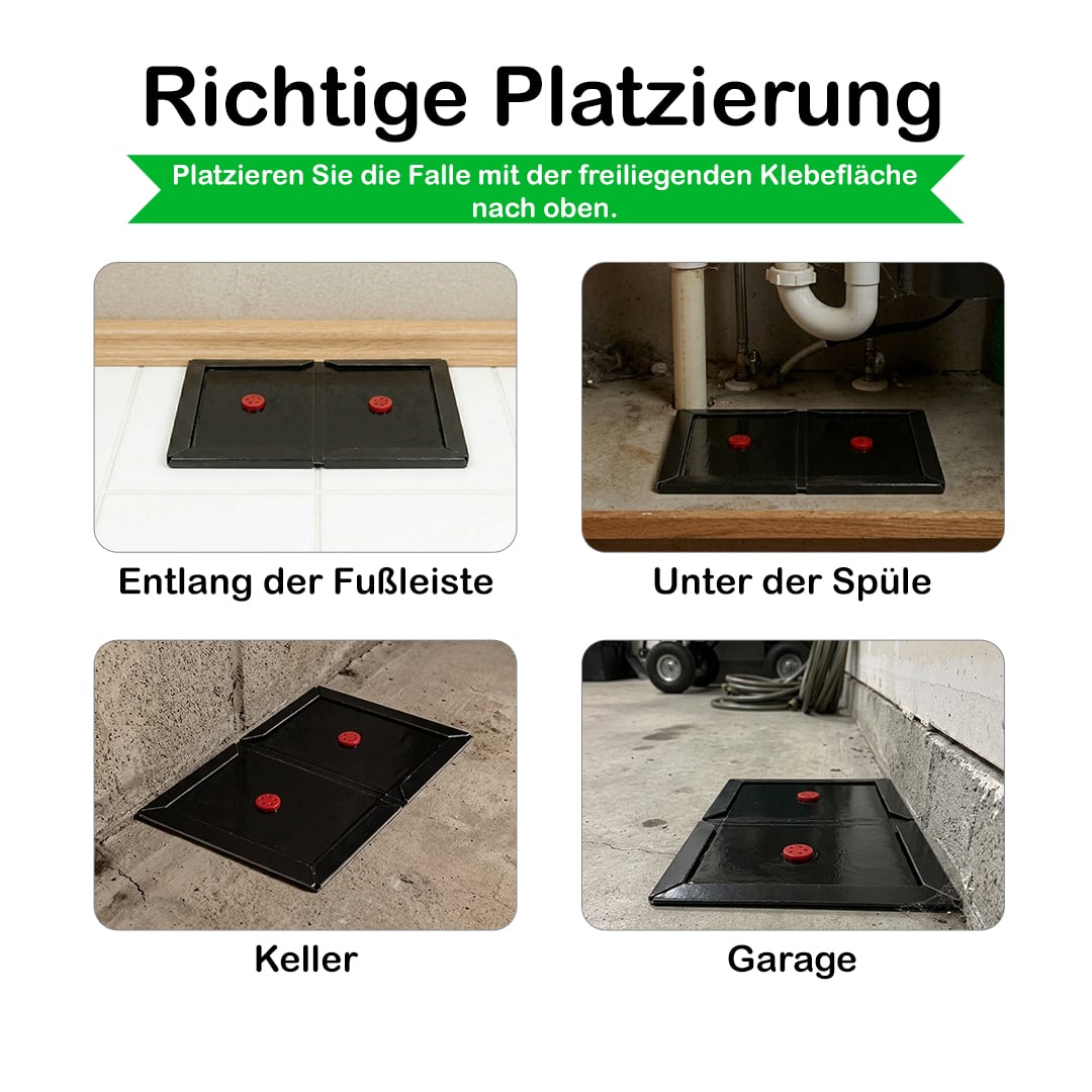 Ronada Klebefalle schwarz klein (10 Stück)