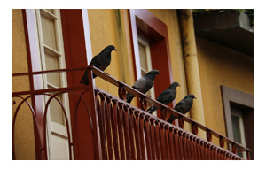 Auf einem Balkon