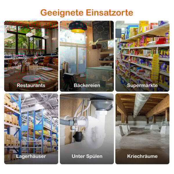 Spray gegen Mäuse und Ratten 5 Liter