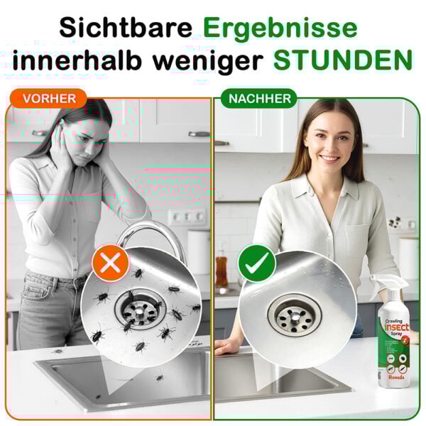 Ronada Spray gegen kriechende Insekten
