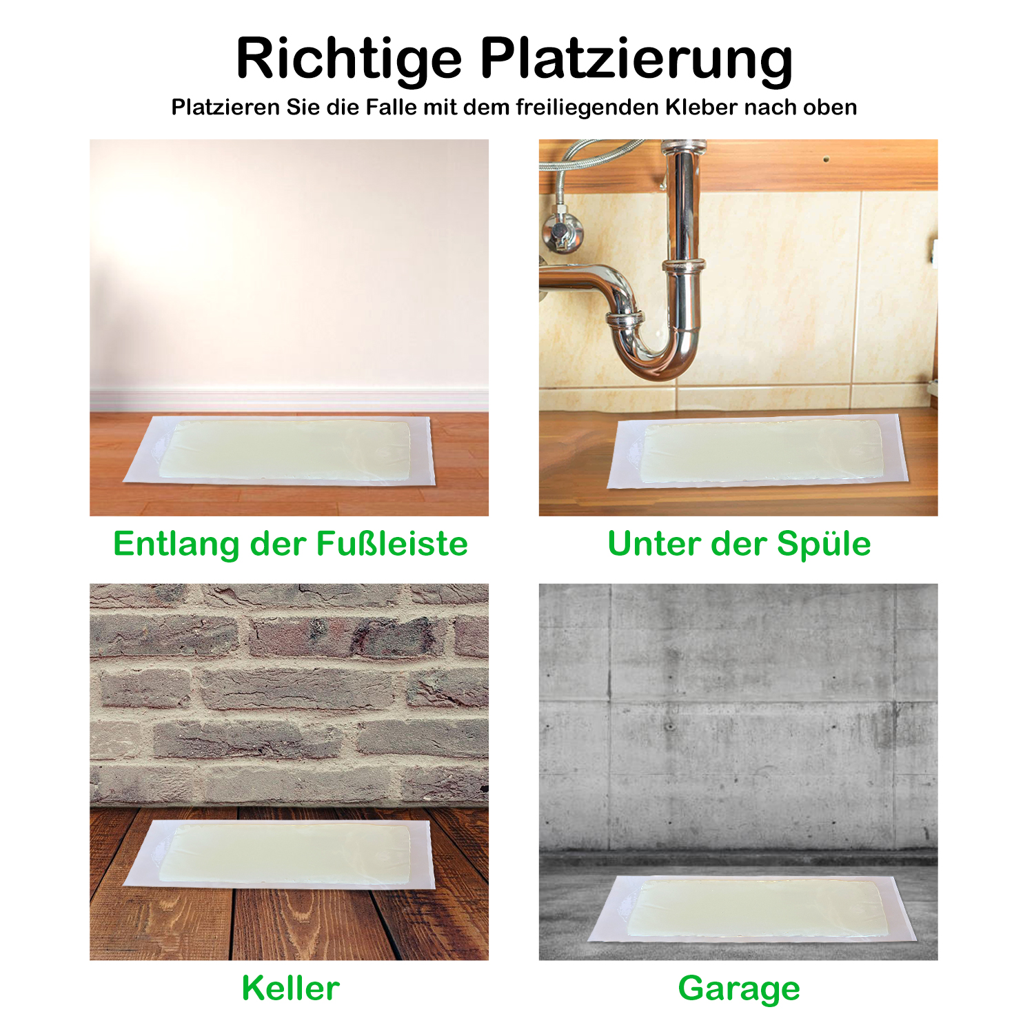 Mäuse Klebefalle Trapper RTM