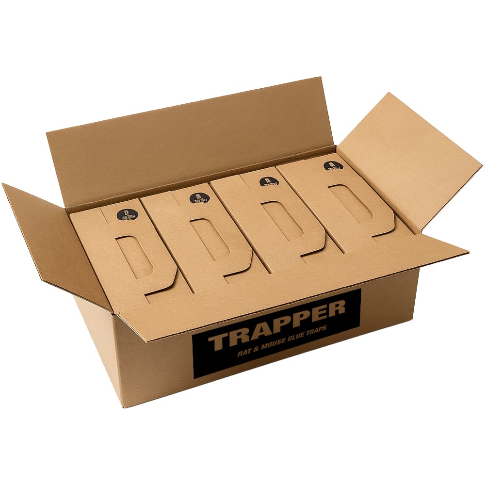 Trapper Rat Mäuse und Ratten Klebefalle (Karton 4 × 12)