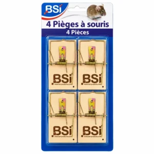 Piège à souris traditionnel