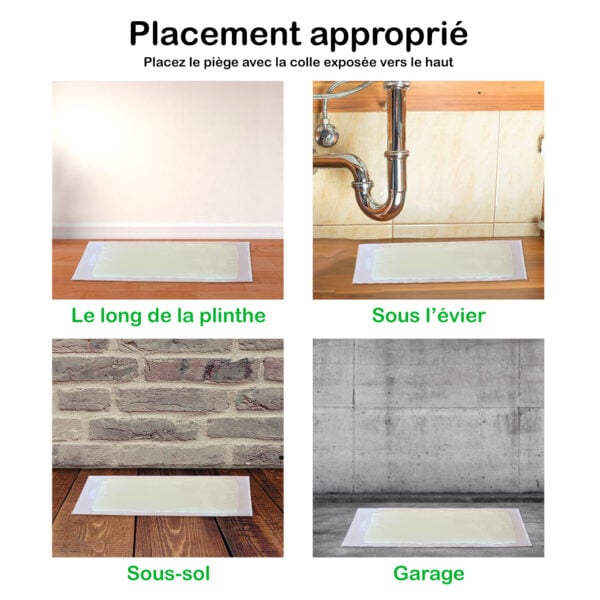 Plaques de glu pour souris Trapper RTM saveur bacon (10 pièces) – Image 7