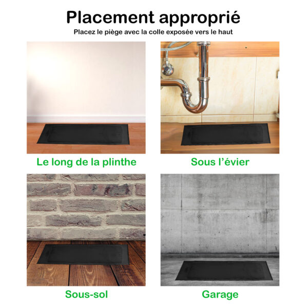 Plaques de glu pour souris Trapper RTM Noir (72 pièces) – Image 7