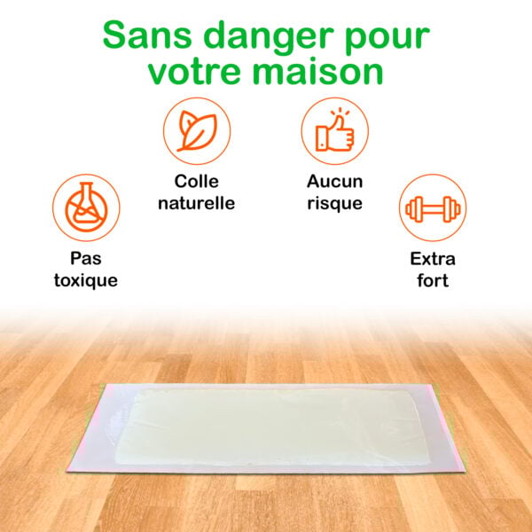 Plaques de glu pour souris Trapper RTM saveur chocolat (10 pièces) – Image 4