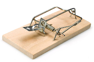 Pièges à rats