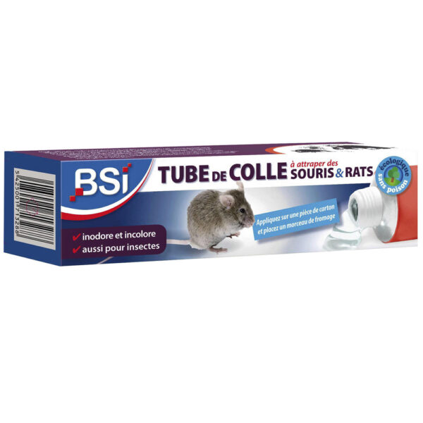 Colle pour rats et souris