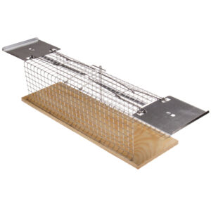 Piège à souris en cage métallique à 2 entrées