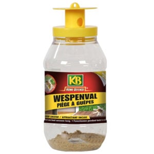 KB piège à guêpes
