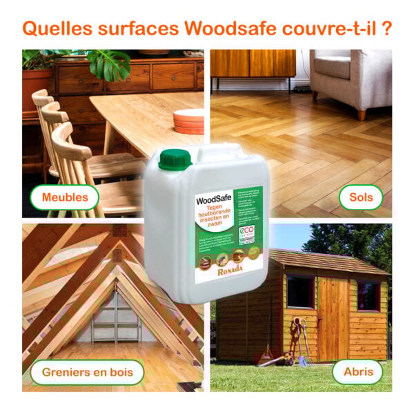 2921 Woodsafe contre les insectes du bois et les champignons 5 litres