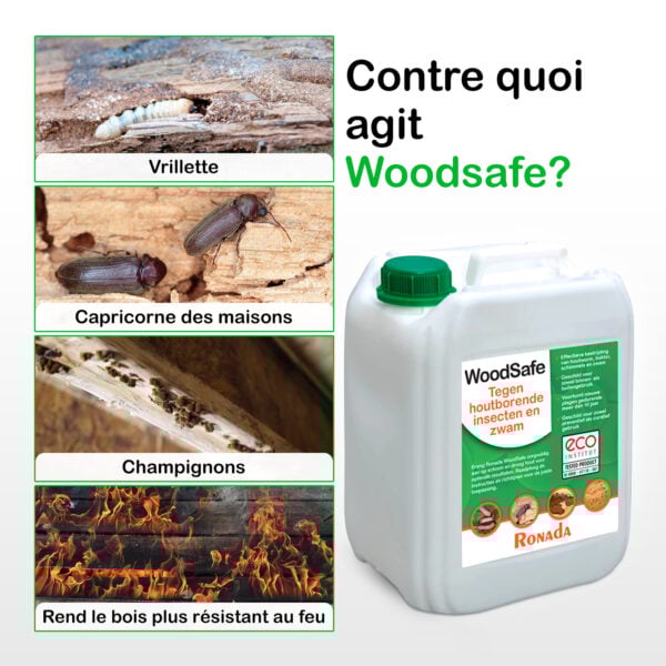 2921 Woodsafe contre les insectes du bois et les champignons 5 litres