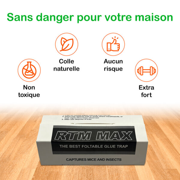 Plaques de glu pour souris Trapper RTM Max