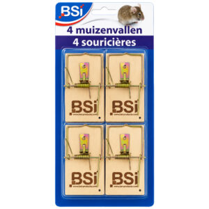 Piège à souris traditionnel (4 pièces)