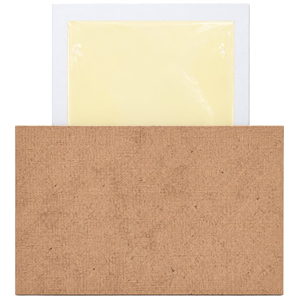 Plaques de glu en bois pour rats et souris
