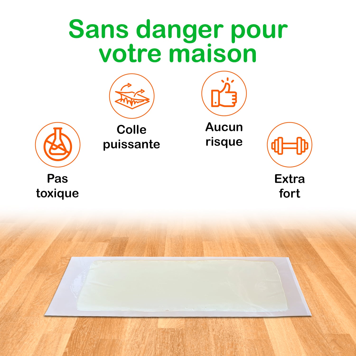 Plaques de glu pour souris Trapper RTM Cacahuète (72 pièces) – Image 4