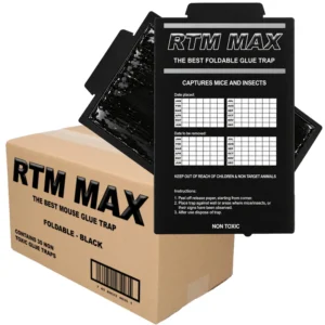 Plaques de glu pour souris Trapper RTM Max noires (30 pièces)