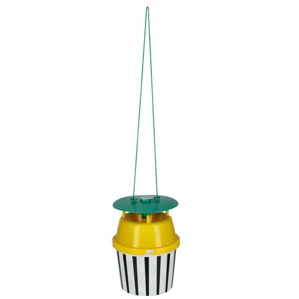 Black stripe mottenval - Afbeelding 2