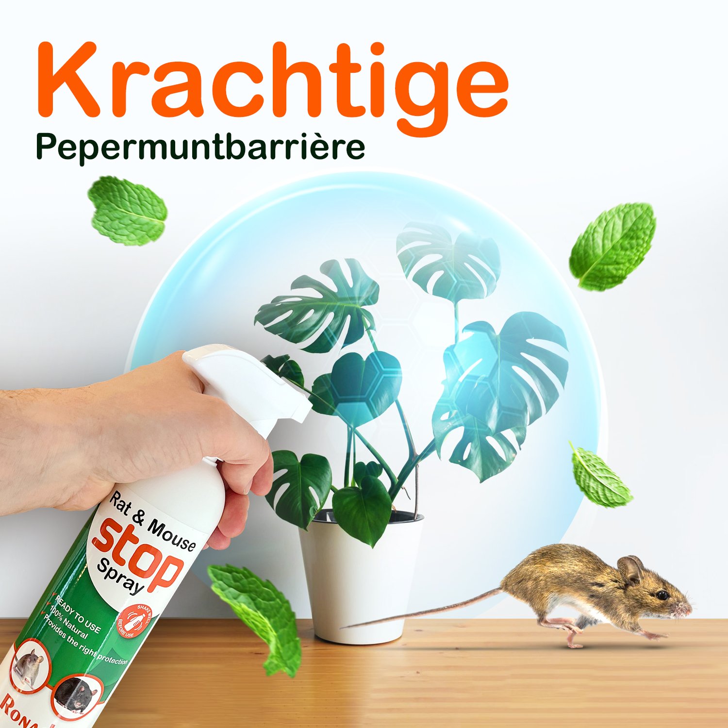 Spray tegen muizen en ratten 500 ml - Afbeelding 2