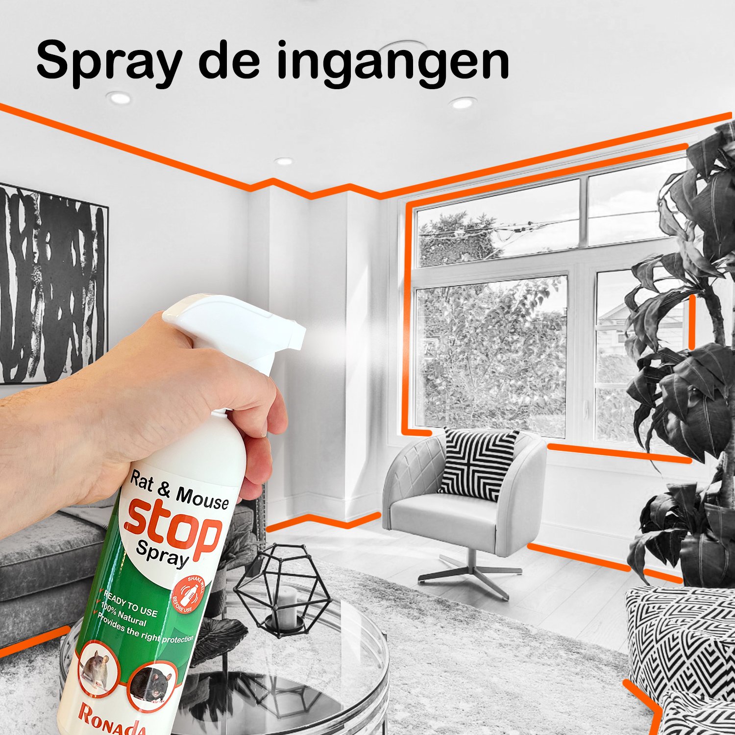 Spray tegen muizen en ratten 500 ml - Afbeelding 5